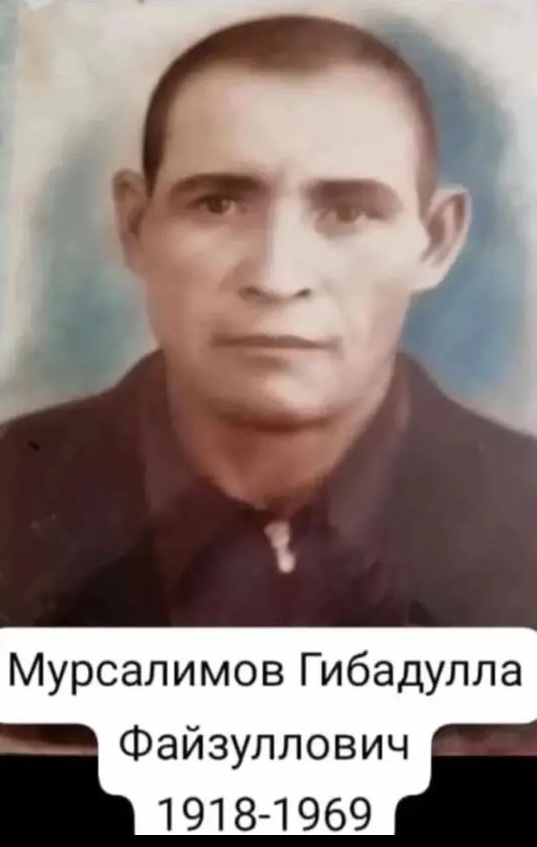 Мурсалимов Гибадулла Файзуллович